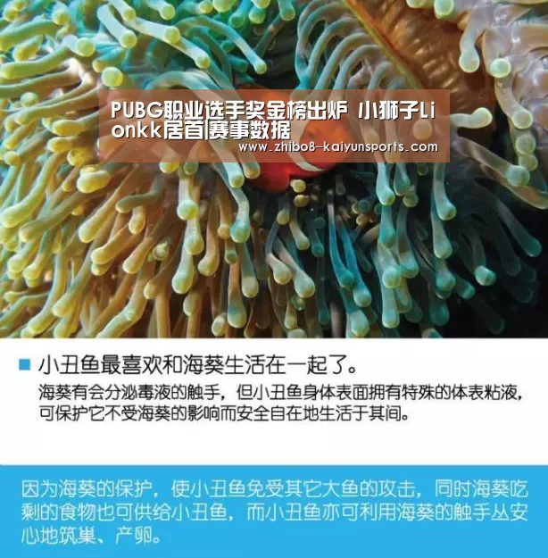 赛事数据
